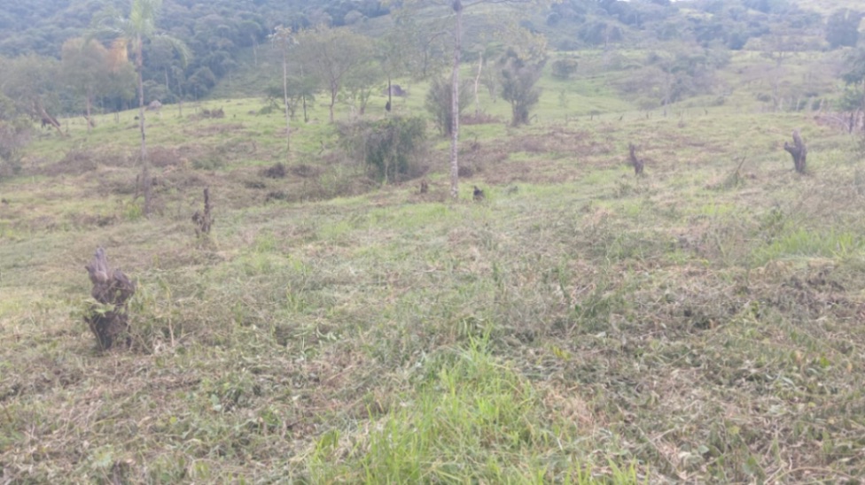 Mesetas, Meta, Colombia 4